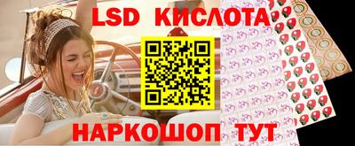 индика Заводоуковск